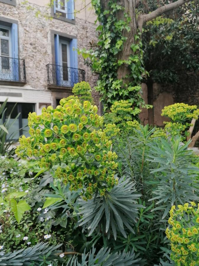 Zoralie Appartement *
